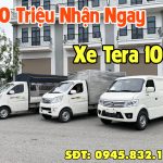 hình ảnh xe tải tera 100