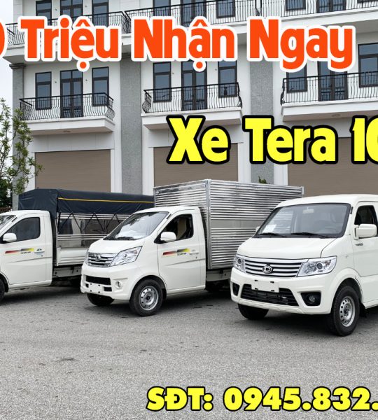 Các Phiên Bản Thùng Trên Xe Tải Tera 100